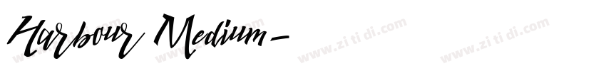 Harbour Medium字体转换
